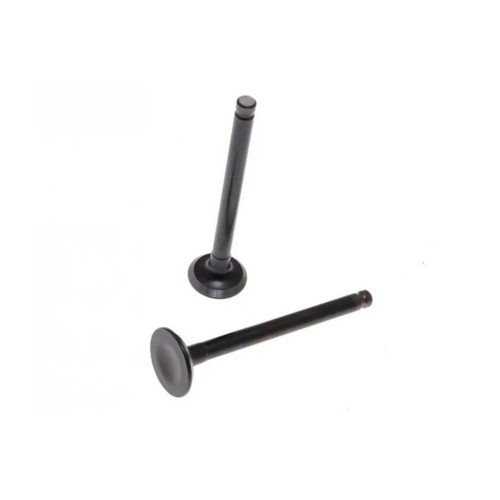 Intake exhaust valve - exhaust,