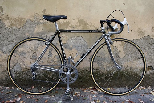 Colnago arabesque 30th - arabesque,