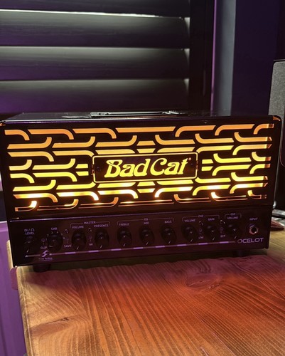 Bad cat ocelot - cat,