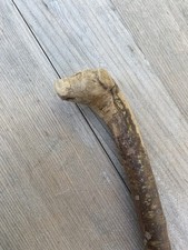 Walking Stick Child Size Hazel