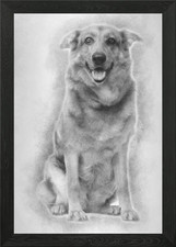 Cross breed dog 1 year old