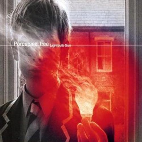 Porcupine tree lightbulb - porcupine, :