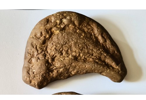 Genuine dinosaur track uk - genuine,