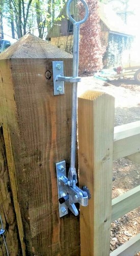 Hunting equine latches horse - 2,