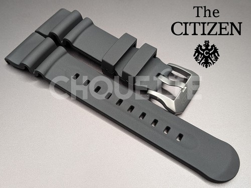 Oem citizen promaster aqualand - promaster,