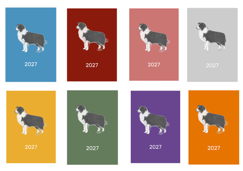 Border collie 2027 diary a5 - collie, diary: