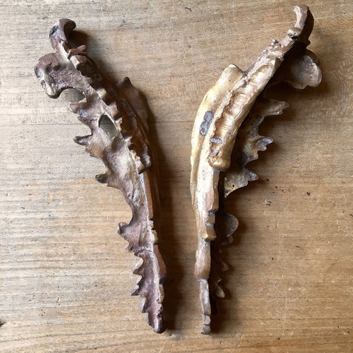 Pair large bronze gilt - pair,