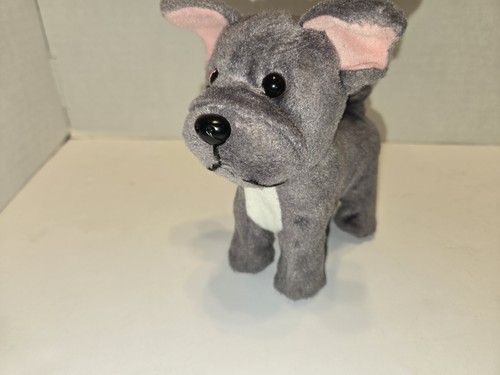 American girl french bulldog - girl,