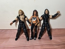 WWE Hardy Boyz & Lita Jakks