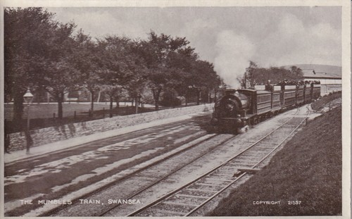 The mumbles train swansea - the,