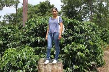 KENYA AA KAHINDU COFFEE BEANS MEDIUM ROASTED 2 POUNDS IN 1 POUND BAGS