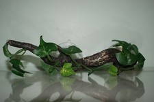 Vivarium Reptile Single Sucker