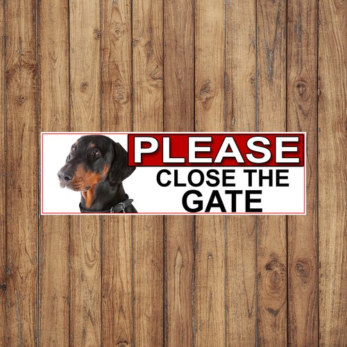 Doberman pinscher please - doberman, close