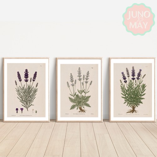 Set watercolour lavender - 3,