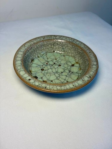 Antique caledon plant - plant, from