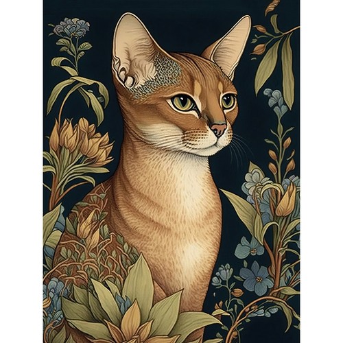 Abyssinian cat with - abyssinian,