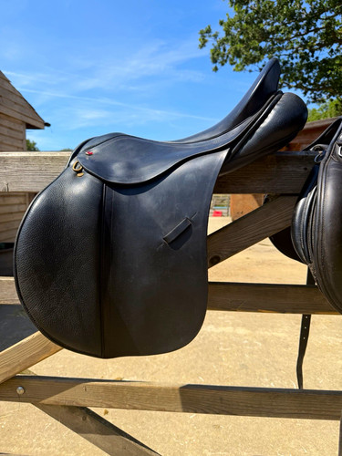 Albion adjusta 5 - albion,