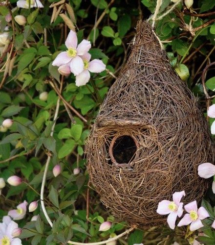 Giant roost pocket nest box - pocket,