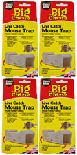 4x Big Cheese Live Catch Mouse