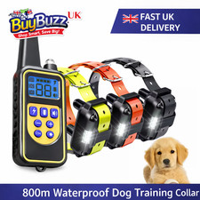 800M Remote Electric Shock
