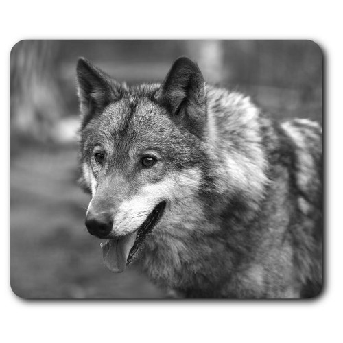 Rectangle mouse mat wild - mouse,