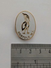 Norfolk WI Vintage Enamel Pin