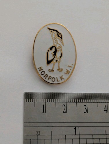Norfolk vintage enamel pin - norfolk,
