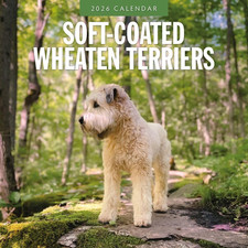 Soft-Coated Wheaten Terriers -