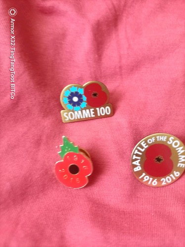 1916 2016 battle the - 1916-2016,