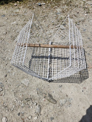 Clam trap vermin - trap.,