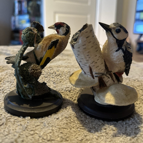 The country bird - the,