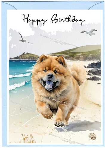 Chow dog birthday card - chow,