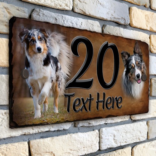Border collie house number - border,