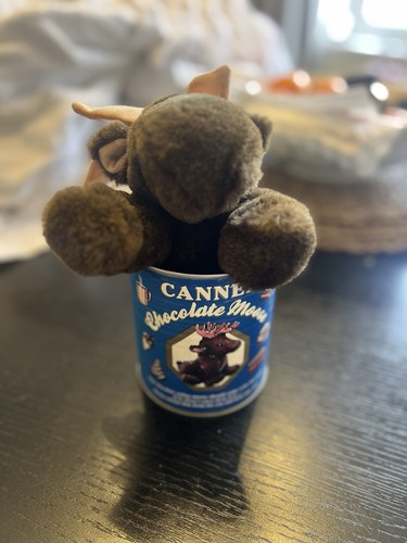 Canned chocolate moose teddy - canned,