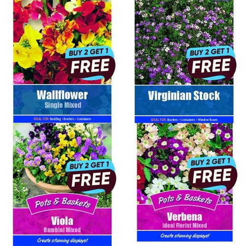 Flower seeds grow - seeds,