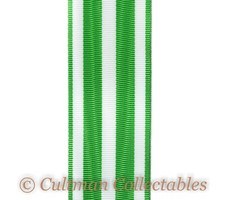 201. South Vietnam Campaign