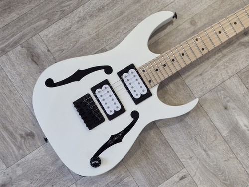Ibanez pgm mikro paul - ibanez,