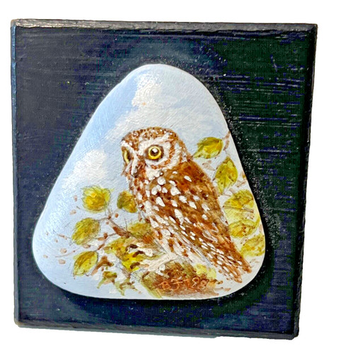Little owl miniature painting - ,