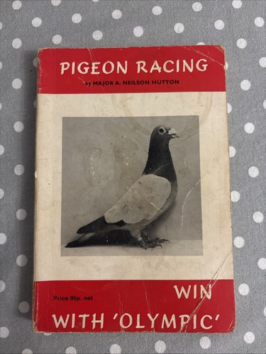 Pigeon racing win with olympic - pigeon,