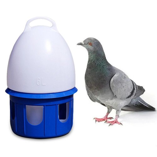 Auto bird pigeon feeder - pigeon,