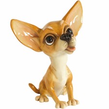 Little Paws Chihuahua Pixie