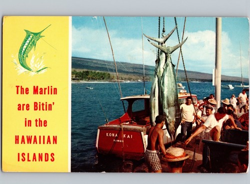 C1960 the marlin are - the,