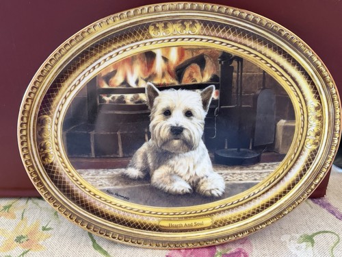 West highland white - west, terrier