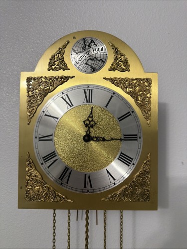 Tempus fugit grandfather clock - grandfather,