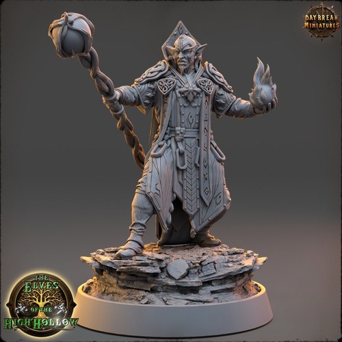 Wood elf mage daybreak - mage, |