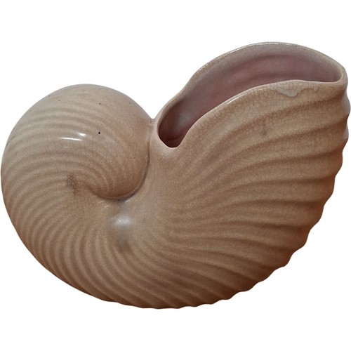 Shorter son nautilus shell - shorter, &