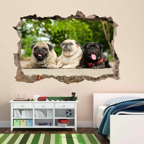 Pug puppy dog animal - dog, funny