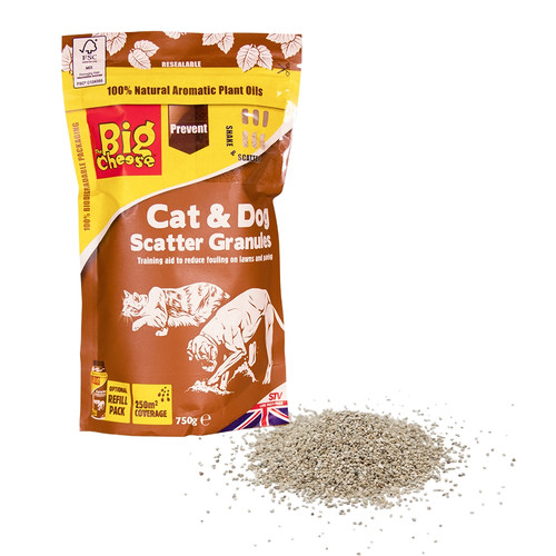 The big cheese cat dog - big,