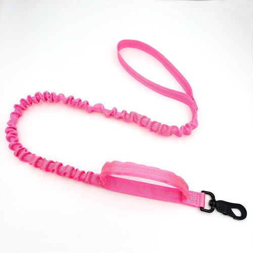 Dog halter halti training - halter,