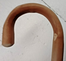 JUST A WALKING STICK  - NICE